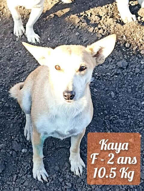 KAYA au refuge en ROUMANIE 0 75018 Paris