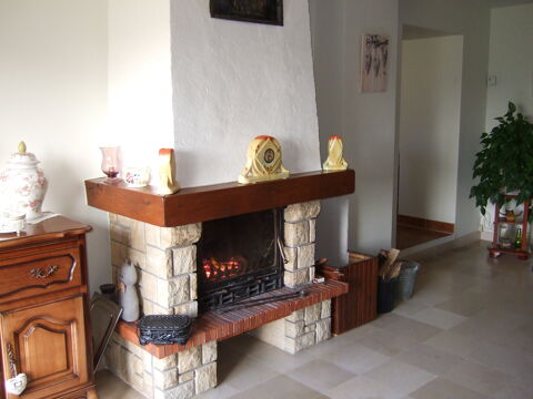 insert avec chemine 180 Coux-et-Bigaroque (24)