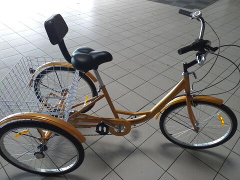 Tricycle adulte avec panier arrière 140 Saint-Pair-sur-Mer (50)