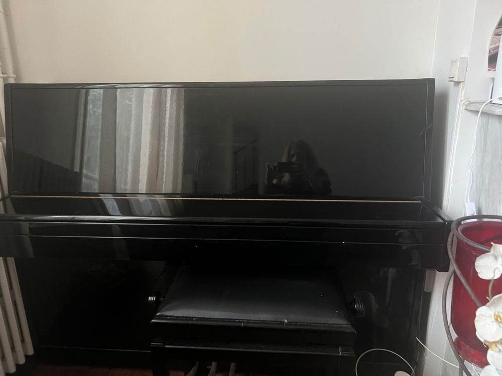 Piano Hellas laque noir Instruments de musique