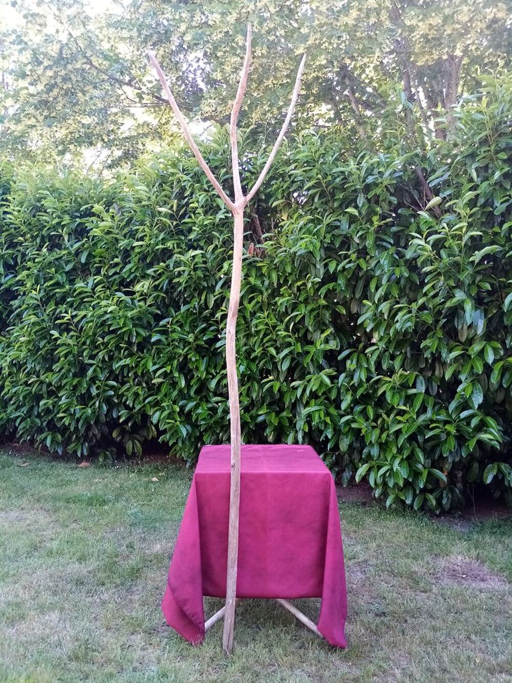 Aiguillon &agrave; boeuf longueur 2m60 Décoration