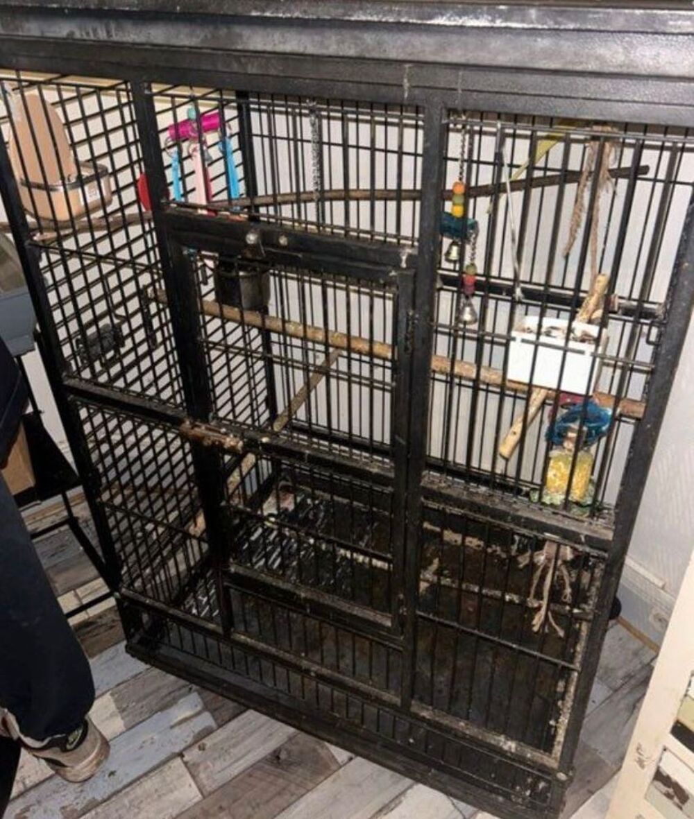 cage oiseau Meubles