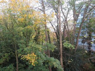  Appartement � louer 1 pi�ce 18 m�