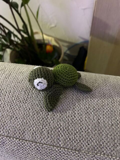 Petite tortue crochet neuve 2 Roche-la-Moli�re (42)