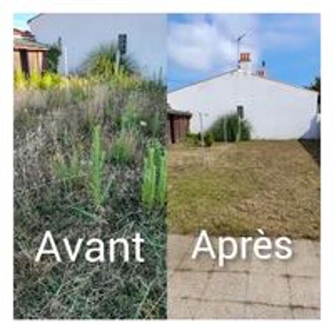   Jardinier et bricoleur en CESU  
