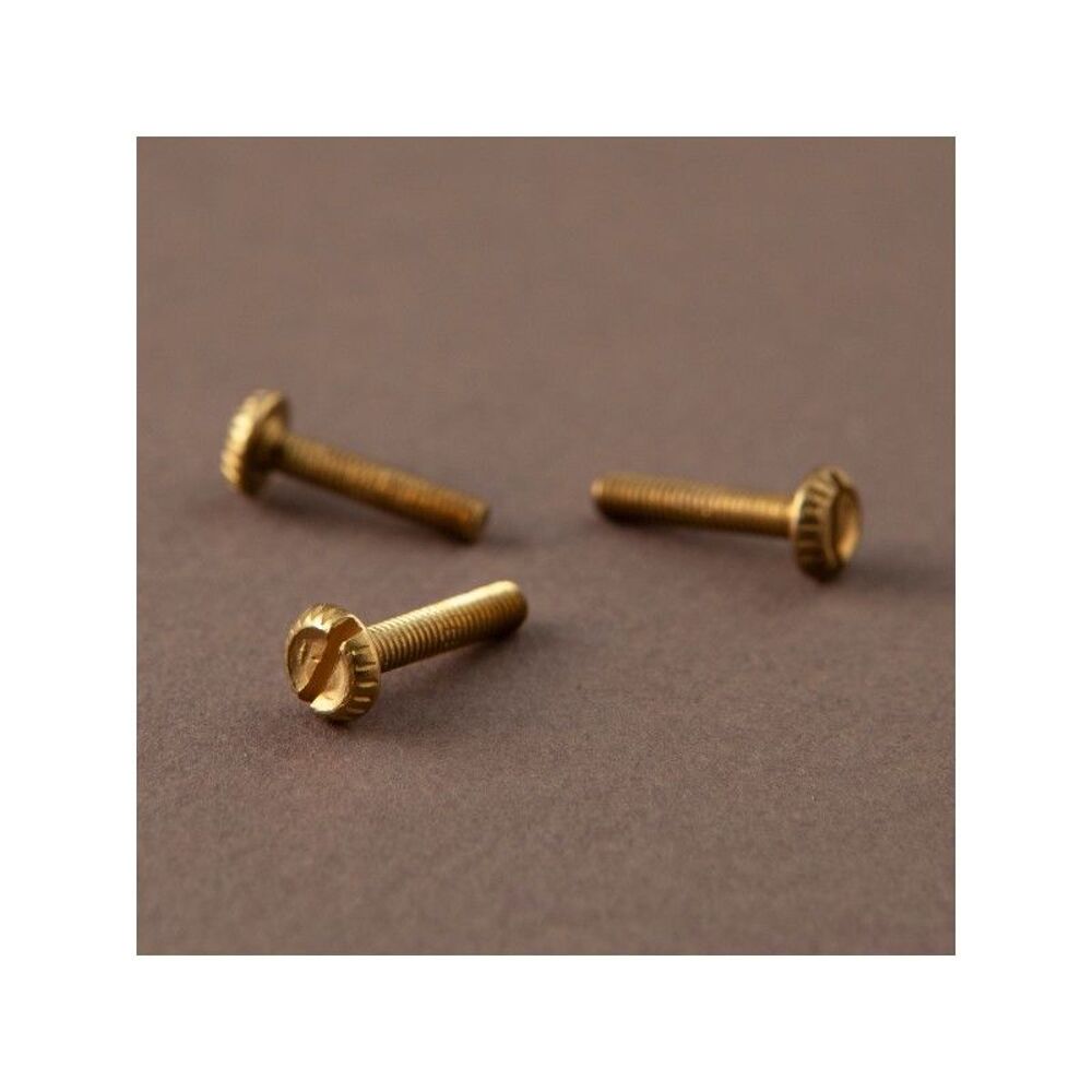 15 Vis en laiton pour griffes de tulipes filet&eacute;es Diam&egrave;tre Bricolage