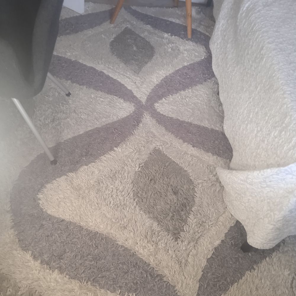 Grand tapis poils longs blanc et gris 230*160 Décoration