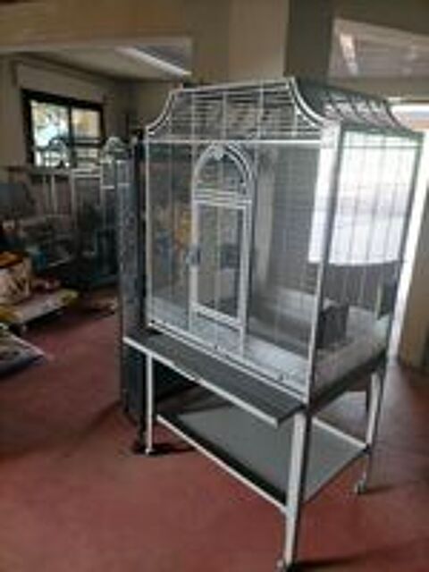   Cage pour oiseaux, perruches canaris 