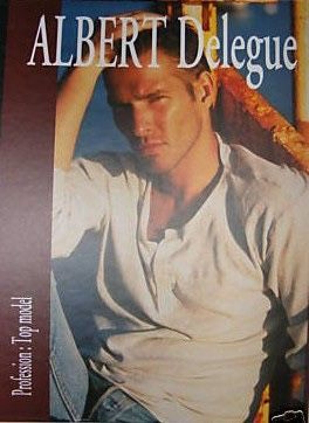 Recherche tr&egrave;s cher tout sur ALBERT DELEGUE 