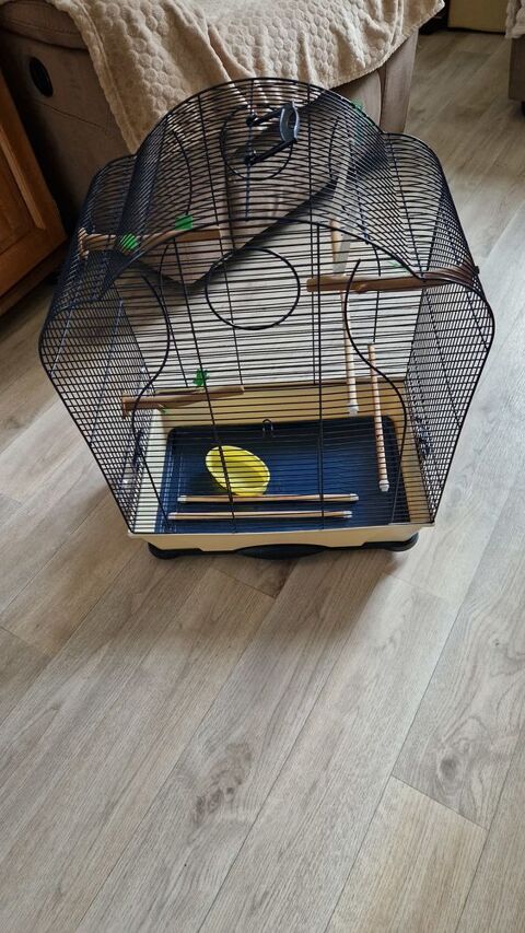 cage oiseaux 30 60180 Nogent-sur-oise