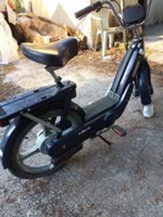 1981 occasion 33600 Pessac