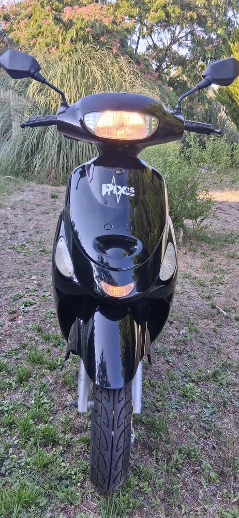 DIVERS 2019 occasion 24600 Rib&eacute;rac
