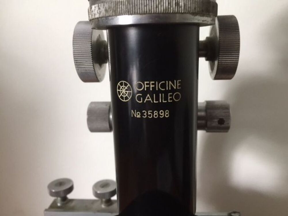 Microscope Binoculaire Gallileo : 