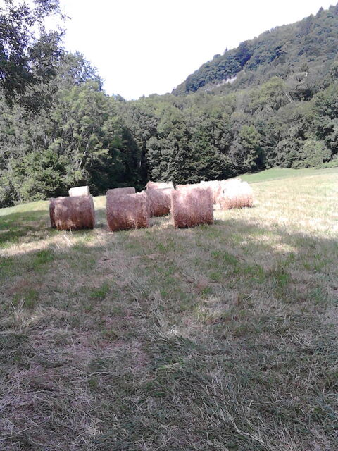 Foin en balles rondes 19 73110 La rochette