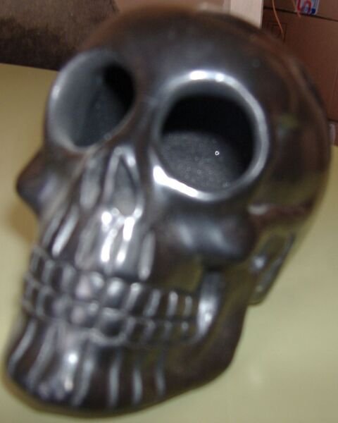 T�te de Mort : Cr�ne (Neuve) 40 Clermont-Ferrand (63)