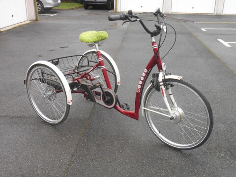 tricycle a assistance lectrique 1000 Saint-Germain-sur-Morin (77)