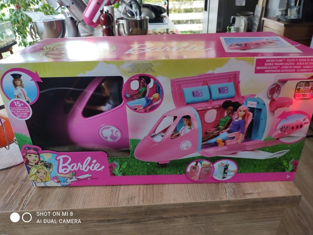 Pilote et avion de r&ecirc;ve barbie Jeux / jouets