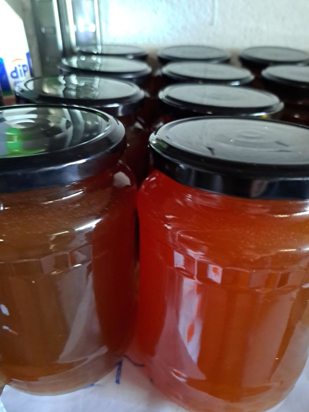 MIELS EN PRODUCTION LIMIT&Eacute;E POTS 1 KG Jardin