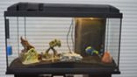   Aquarium 90 litres complets 