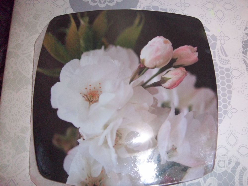 assiettes plastique Cuisine