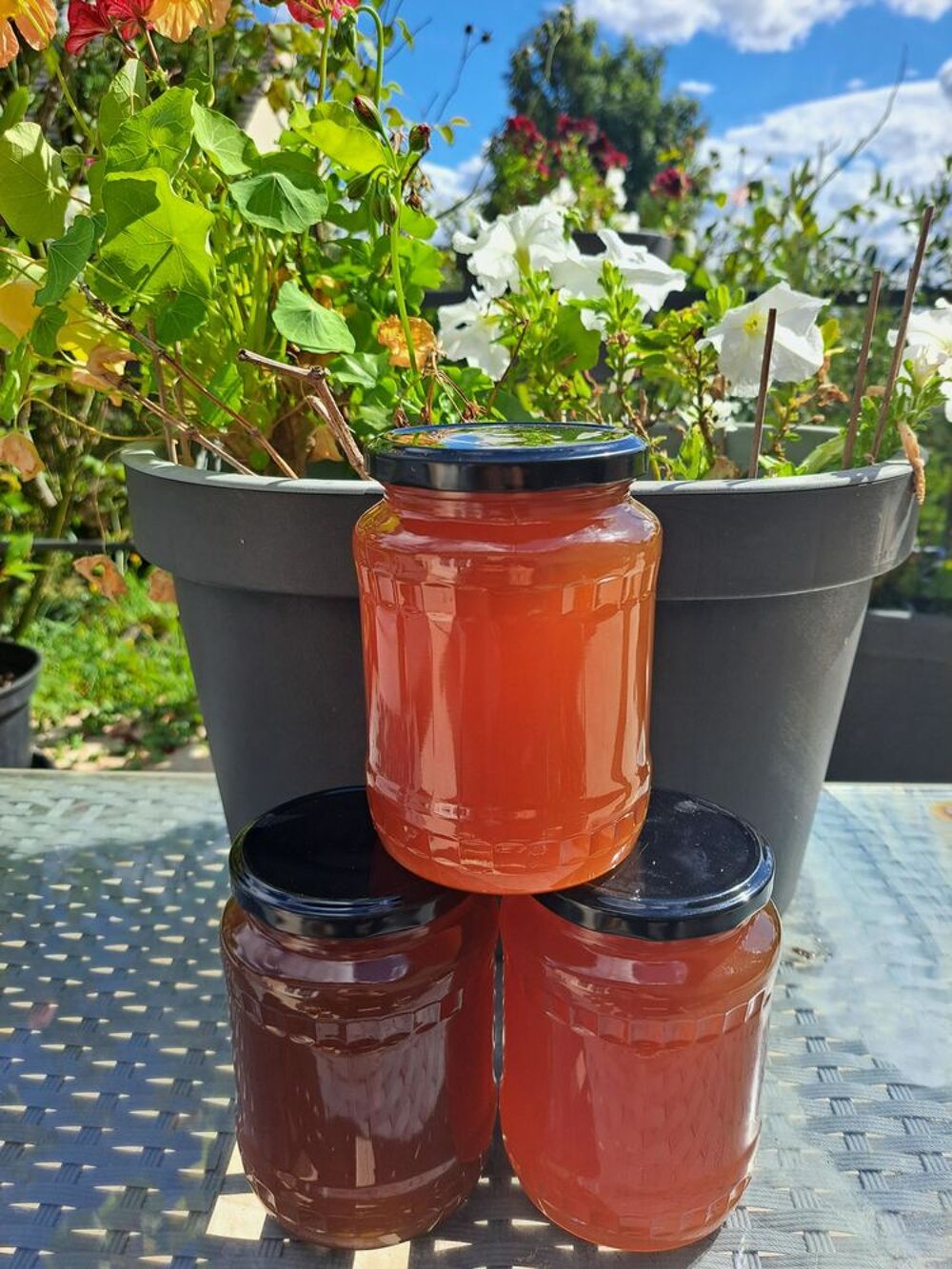 MIELS EN PRODUCTION LIMIT&Eacute;E POTS 1 KG Jardin