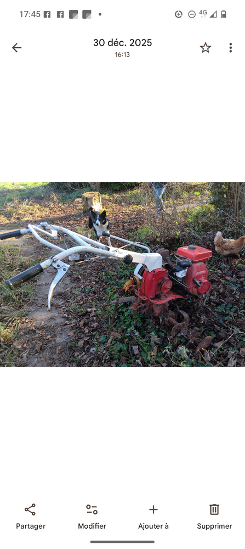 Motoculteur &agrave; r&eacute;parer Jardin