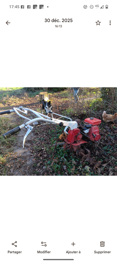 Motoculteur � r�parer  100 Couleuvre (03)