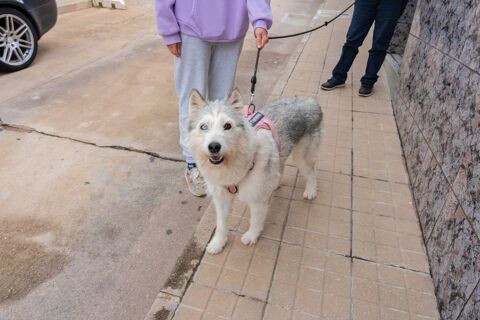 NALA 95610 ragny