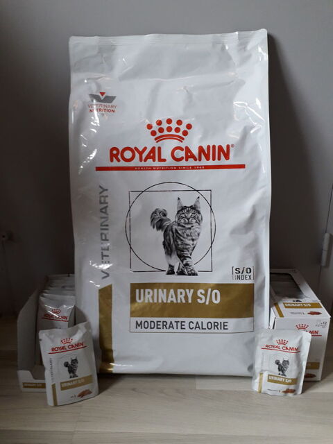 Croquettes/aliments Royal Canin URINARY S/O pour chat 70 35000 Rennes