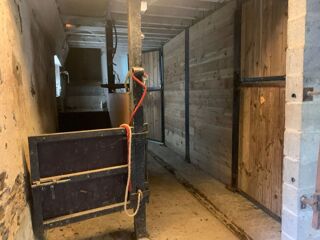 Location Autre HARAS D'ELEVAGE TROTTEUR Cerisy-la-forêt