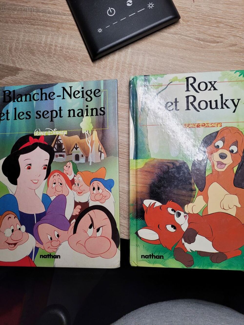 2 livres Disney Classique Livres et BD