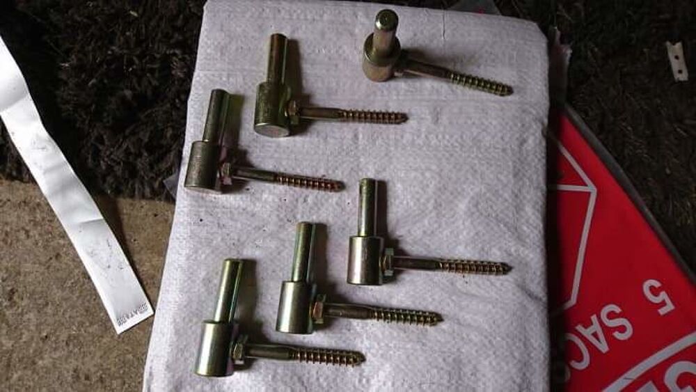 Gonds &agrave; visser pour volets bois Bricolage