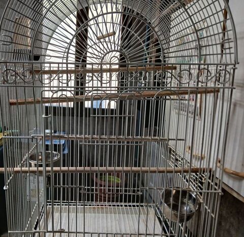 cage oiseaux 30 66600 Rivesaltes