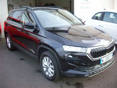 Skoda Karoq 2.0 TDI 116 ch SCR DSG7 Business 2023 occasion Riom 63200