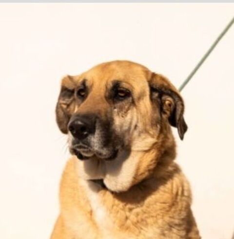 LILA 300 27620 Gasny