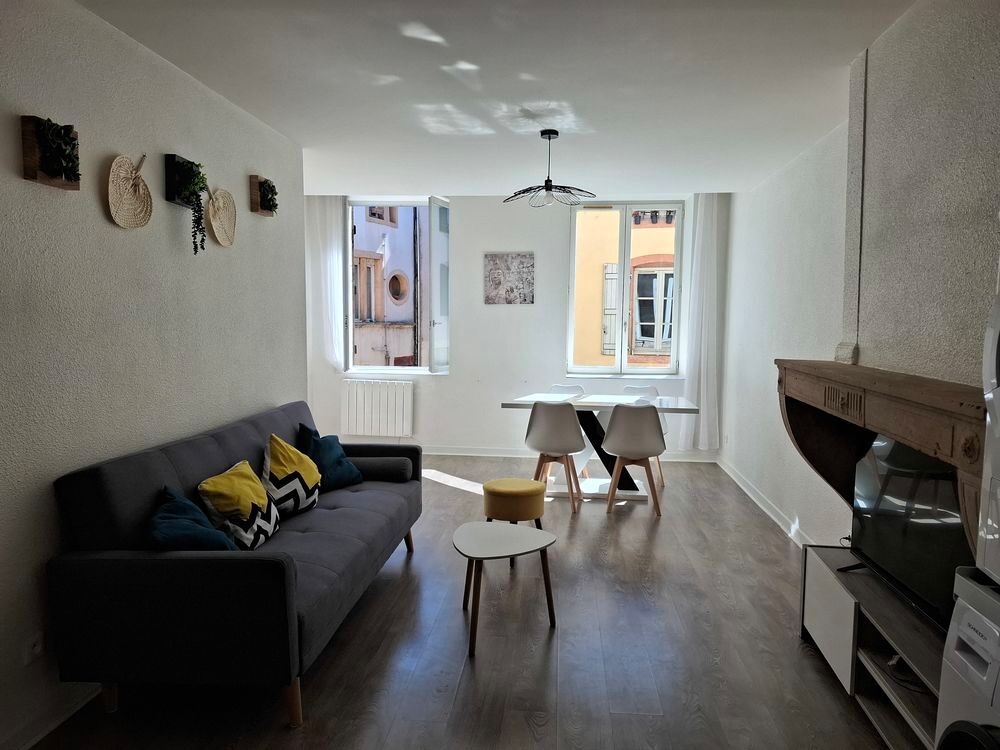 Location Appartement A visiter meublé lumineux centre ville 72 m2 (2 CH) + cave Tournus
