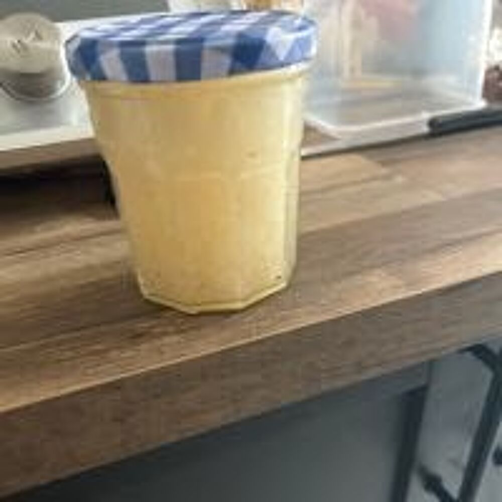   graines de kefir de fruit 