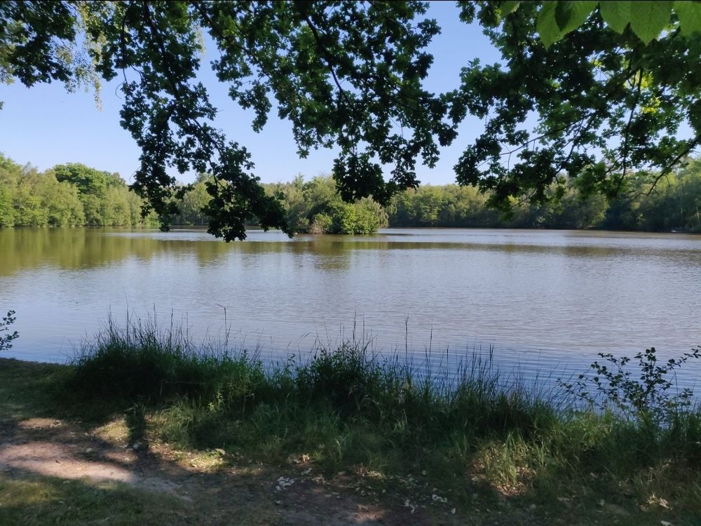 Vente Terrain Terrain à bâtir 984 m² Orgerus