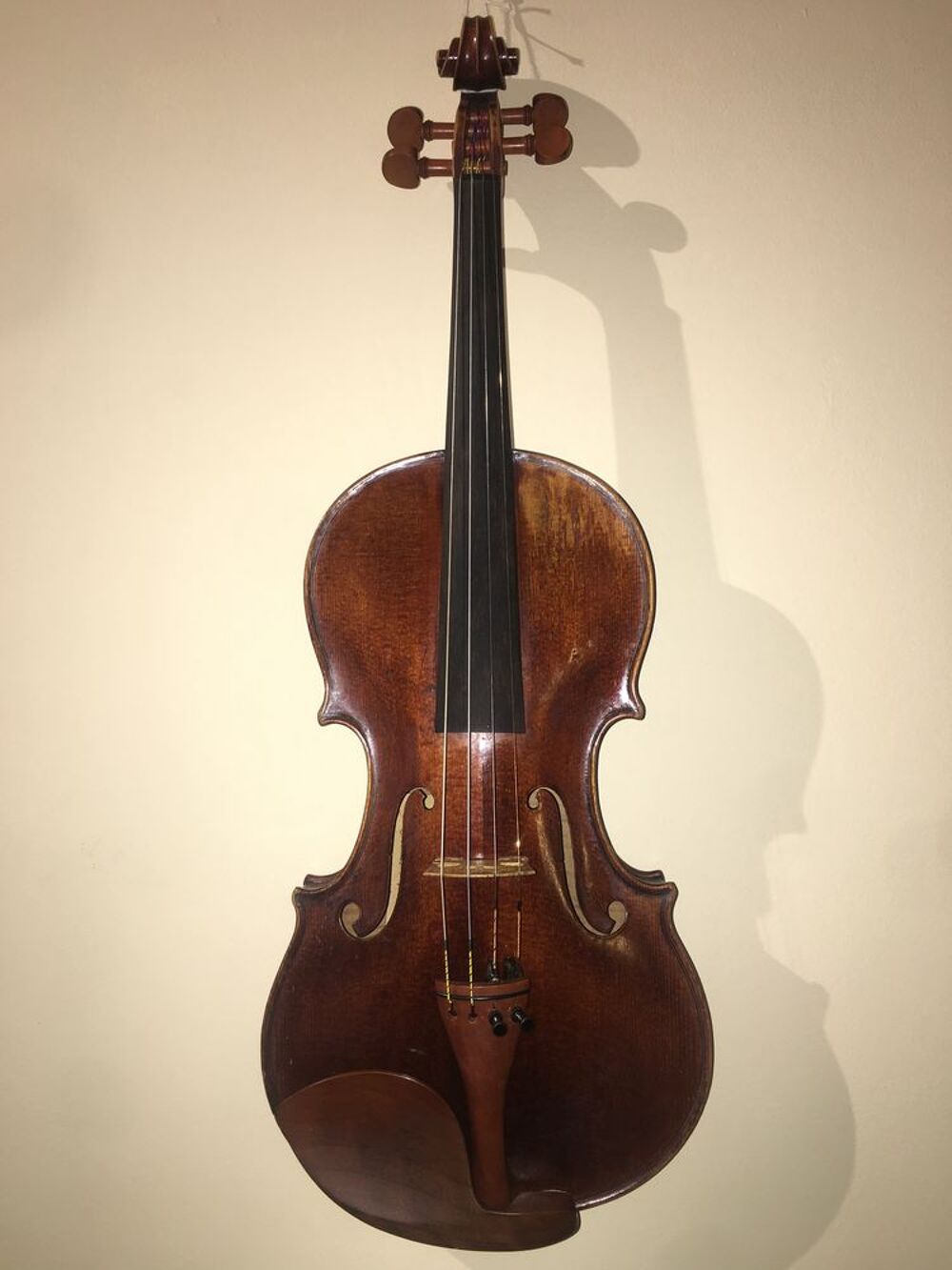 Beau violon d'&eacute;tude (+boite et archet carb.) - Paris Instruments de musique