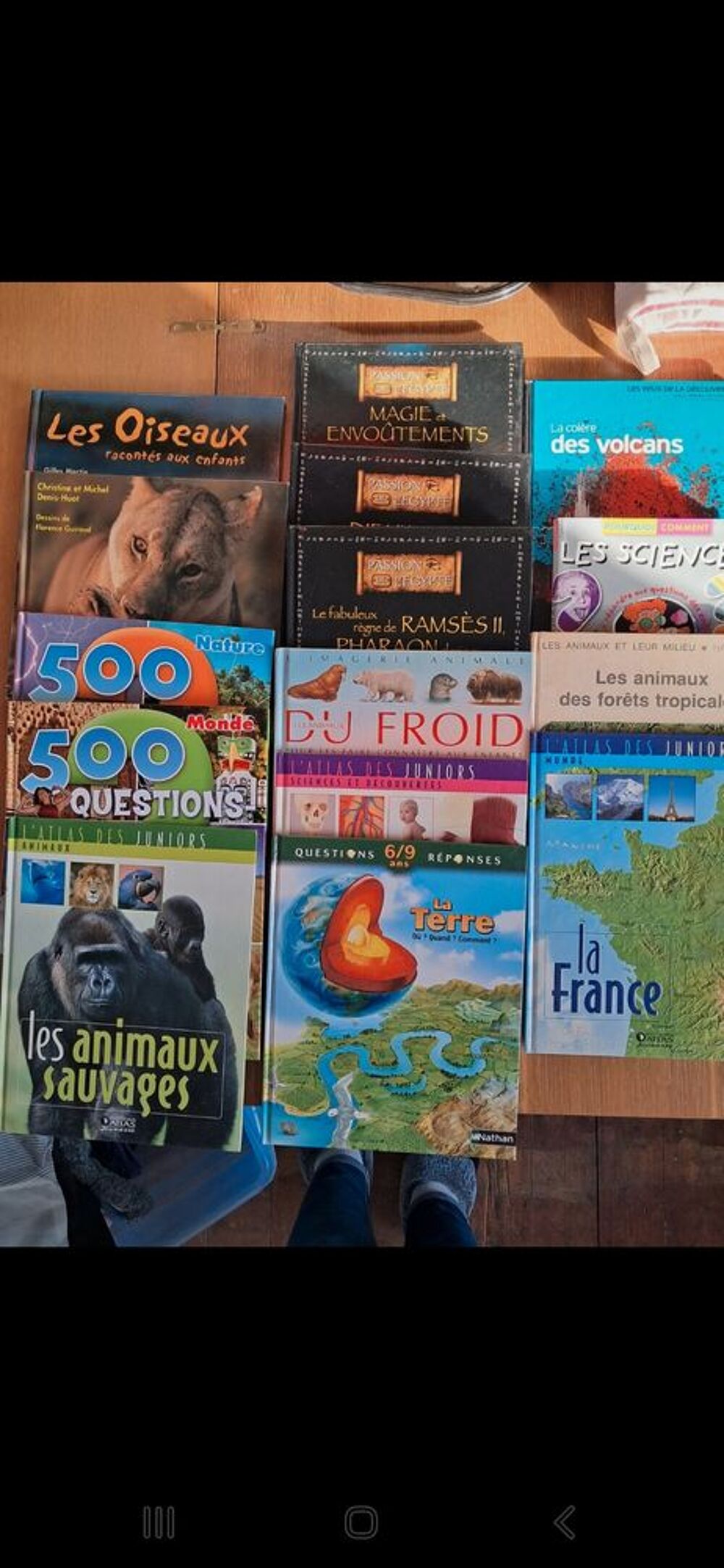 Gros lot de livres Livres et BD