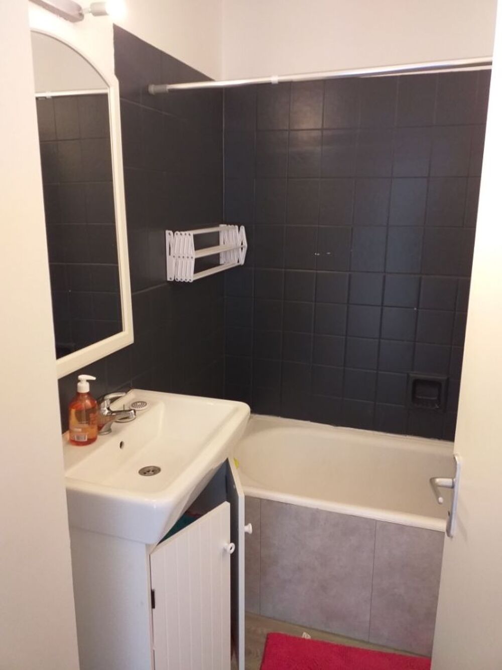 Location Appartement Loue F2 sur Villeurbanne (la feyssine)  725€ CC Villeurbanne