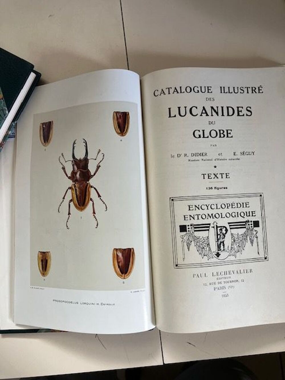 Catalogue illustr&eacute; des Lucanides du Globe. Didier &amp; S&eacute;guy Livres et BD