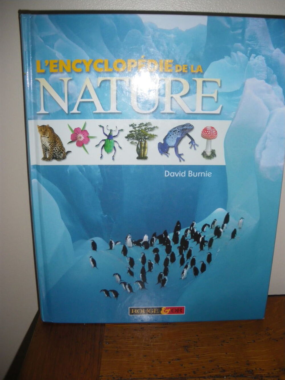 L'encyclop&eacute;die de la nature Livres et BD