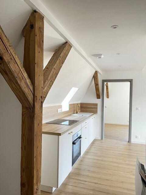   Appartement entirement refait 3 pices Appartement - 3 pice(s) - 55 m