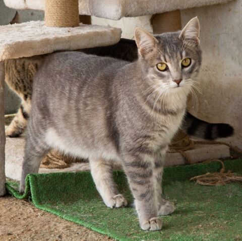 FENDI 230 27620 Gasny