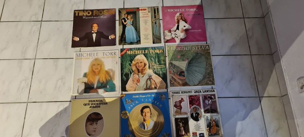 Divers disques vinyle CD et vinyles