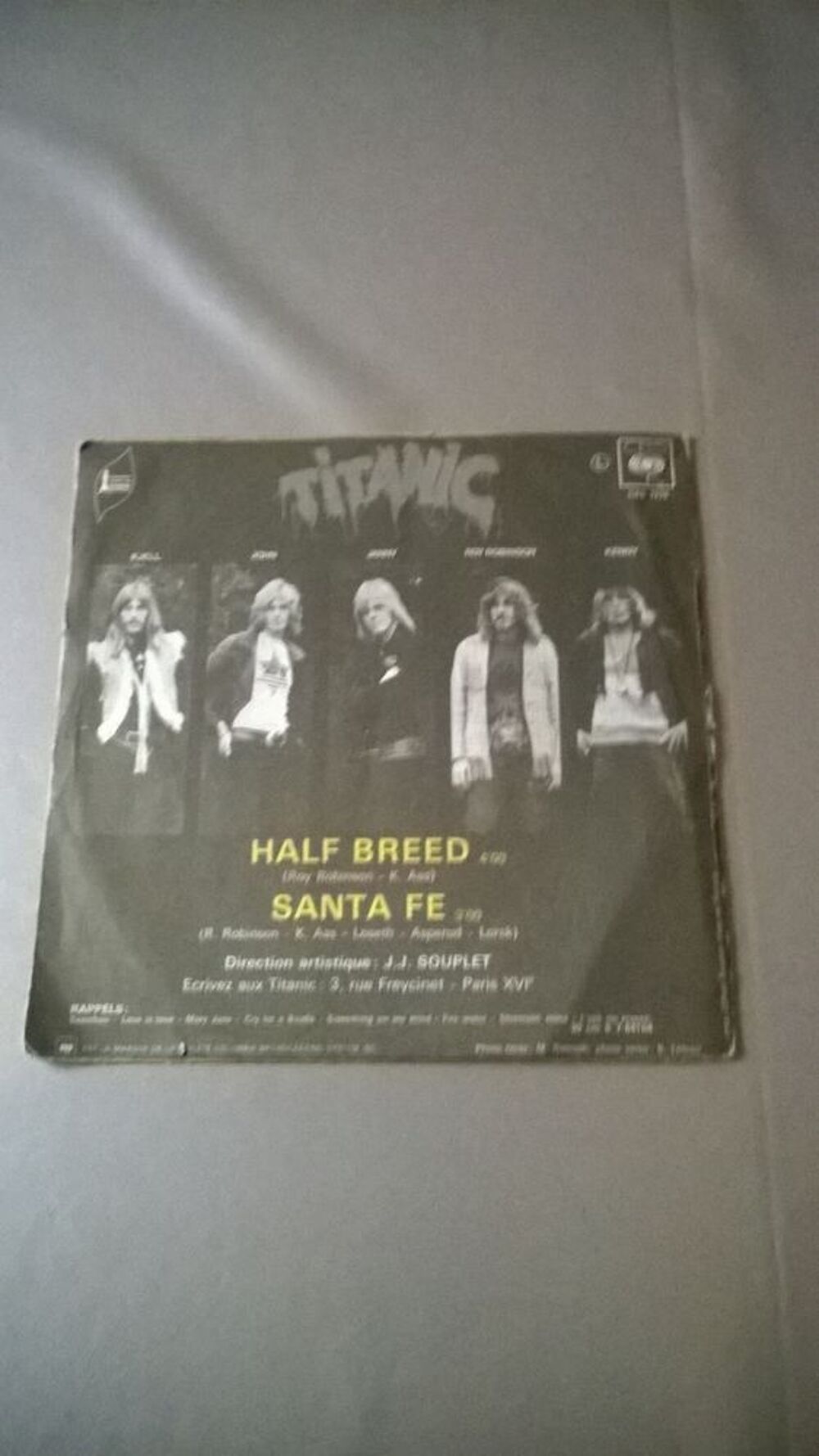Vinyle 45 T Titanic 
Half Breed 
Bon etat
Half Breed
San CD et vinyles