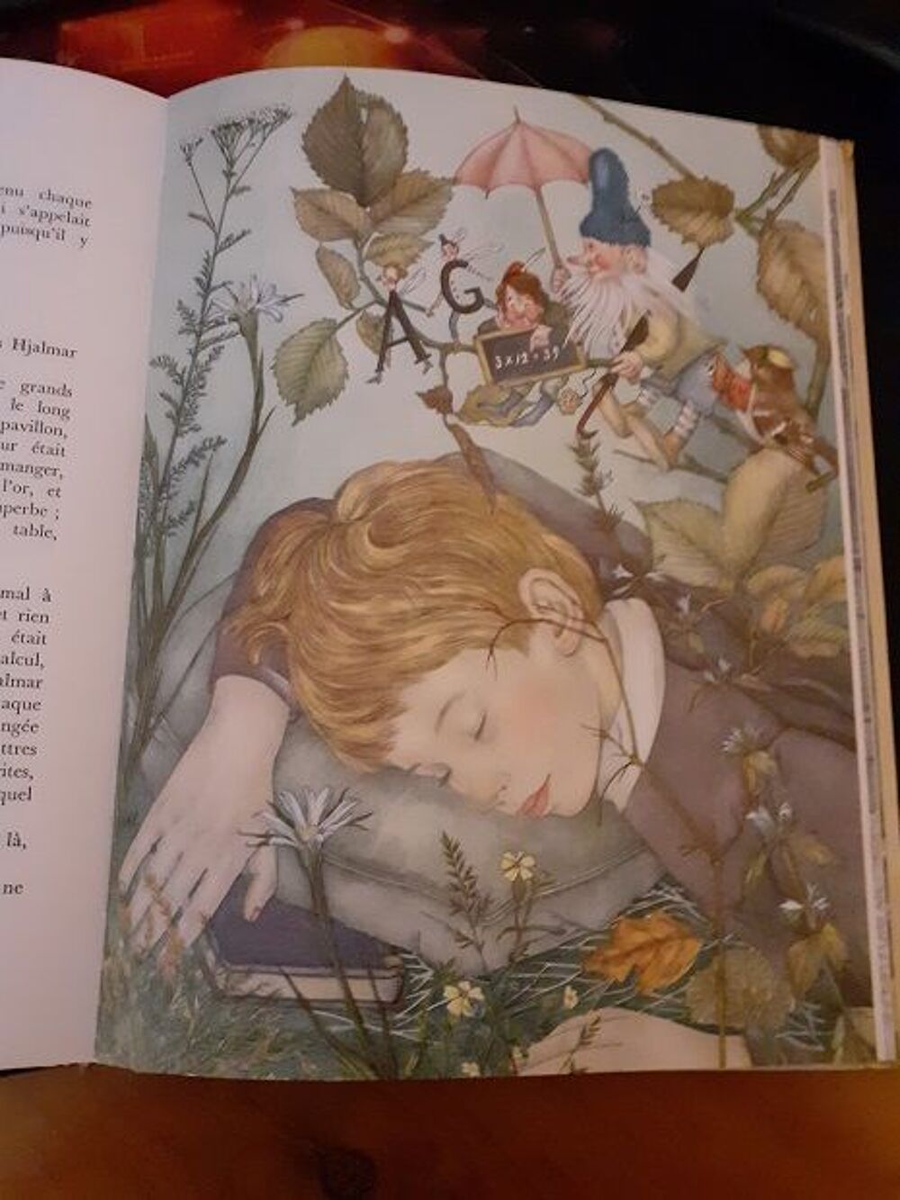 2 Livres de conte D'ANDERSEN belles illustrations Livres et BD