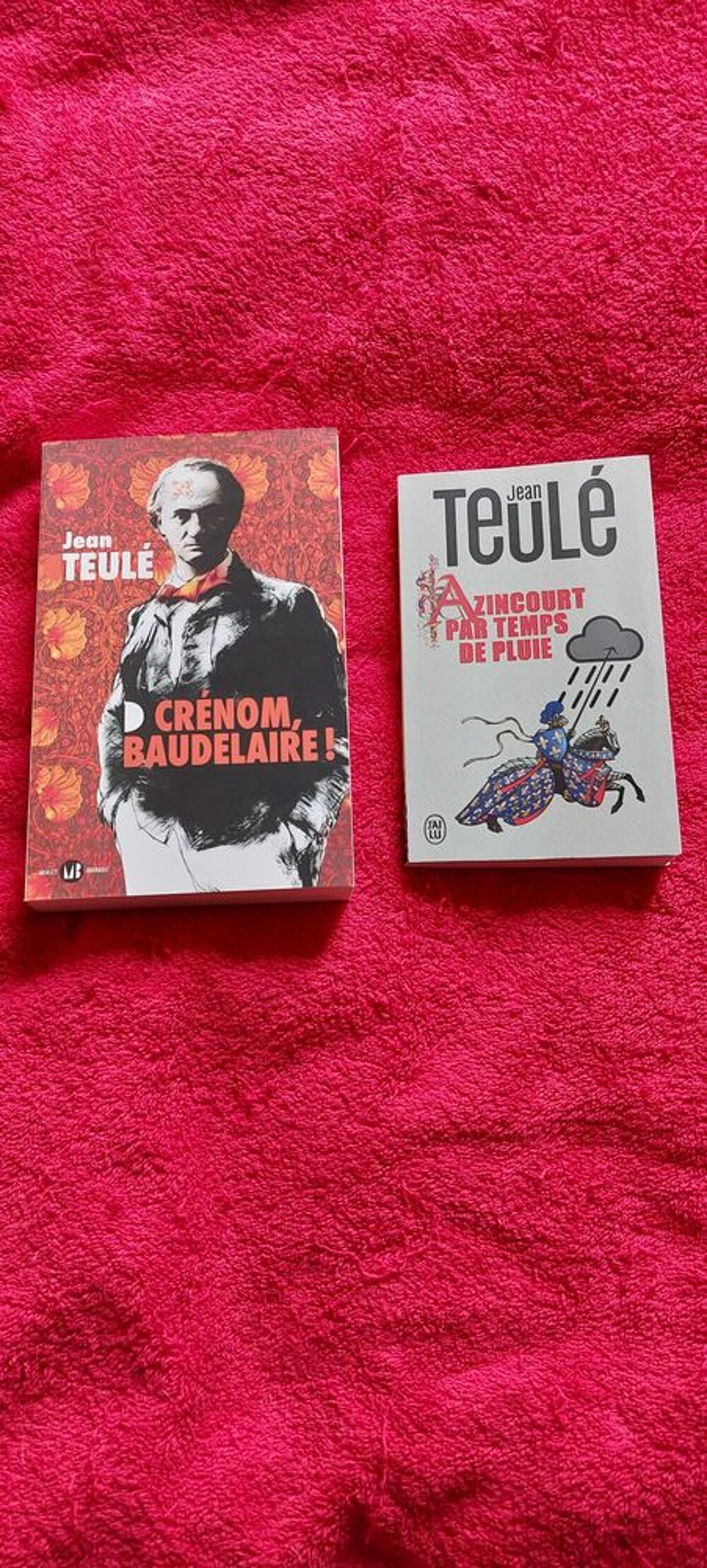 livres Jean Teul&eacute; Livres et BD