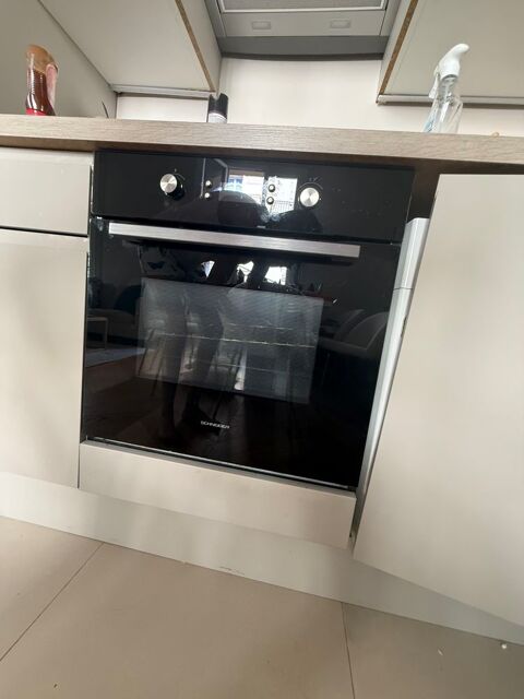 Four encastrable Schneider - Pyrolyse 70 L 300 Paris 17 (75)